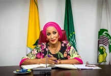 Germany Pledges More Investment in Nigeria as Trade Volume Rises by 10%