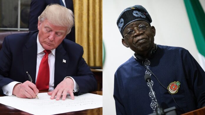 Trump and Tinubu Trump and Tinubu