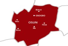 THEWILL EDITORIAL: Unacceptable Killings in Osun Ahead of Gov. Poll
