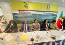 End Border Bottlenecks Now,’ ECOWAS Parliament Tells Member States, Seeks Unified Customs, Tax Rules Across West Africa