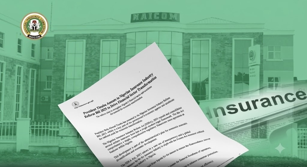 Implementation framework of the Nigerian Insurance Industry Reform Act (NIIRA). Source: Proshare. - THEWILL NEWS MEDIA